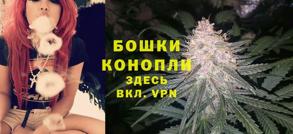 тгк Медногорск