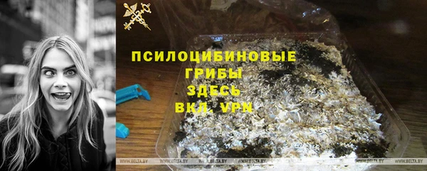 2c-b Медвежьегорск
